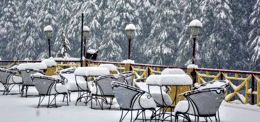 Manali and Shimla- A Dream Escape