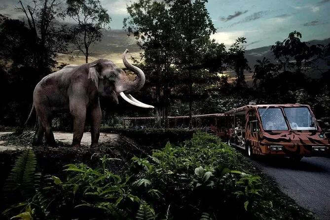 Day 2 – Singapore City Tour & Night Safari
