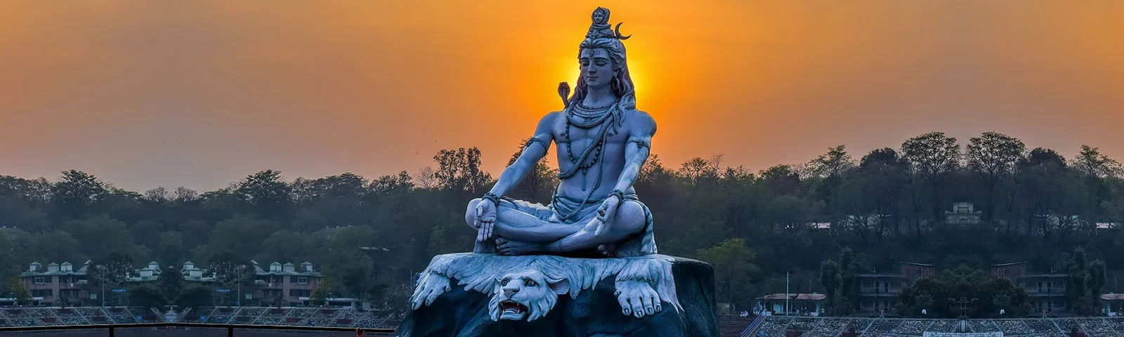 Cool India Tours