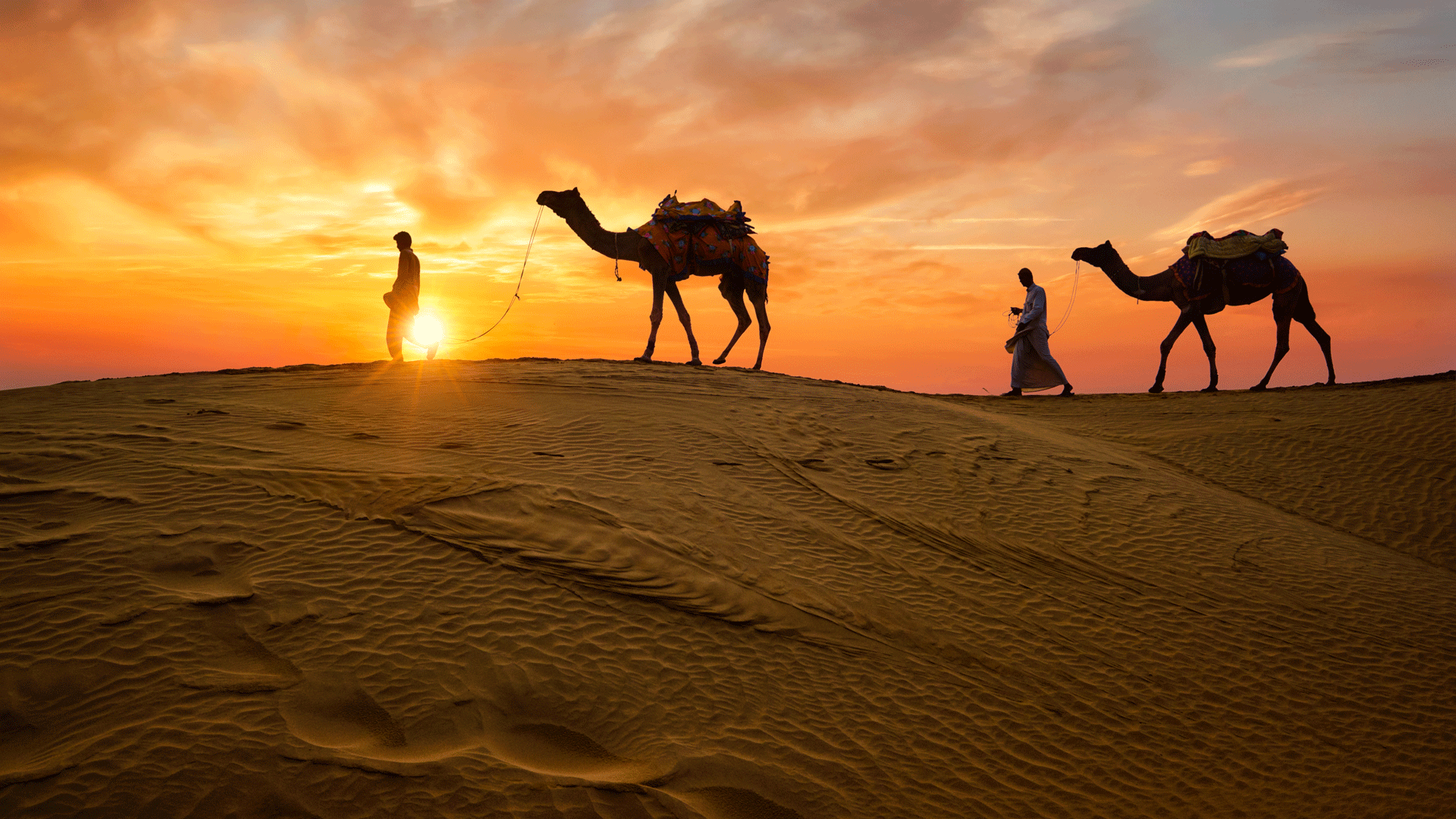 Cool India Tours