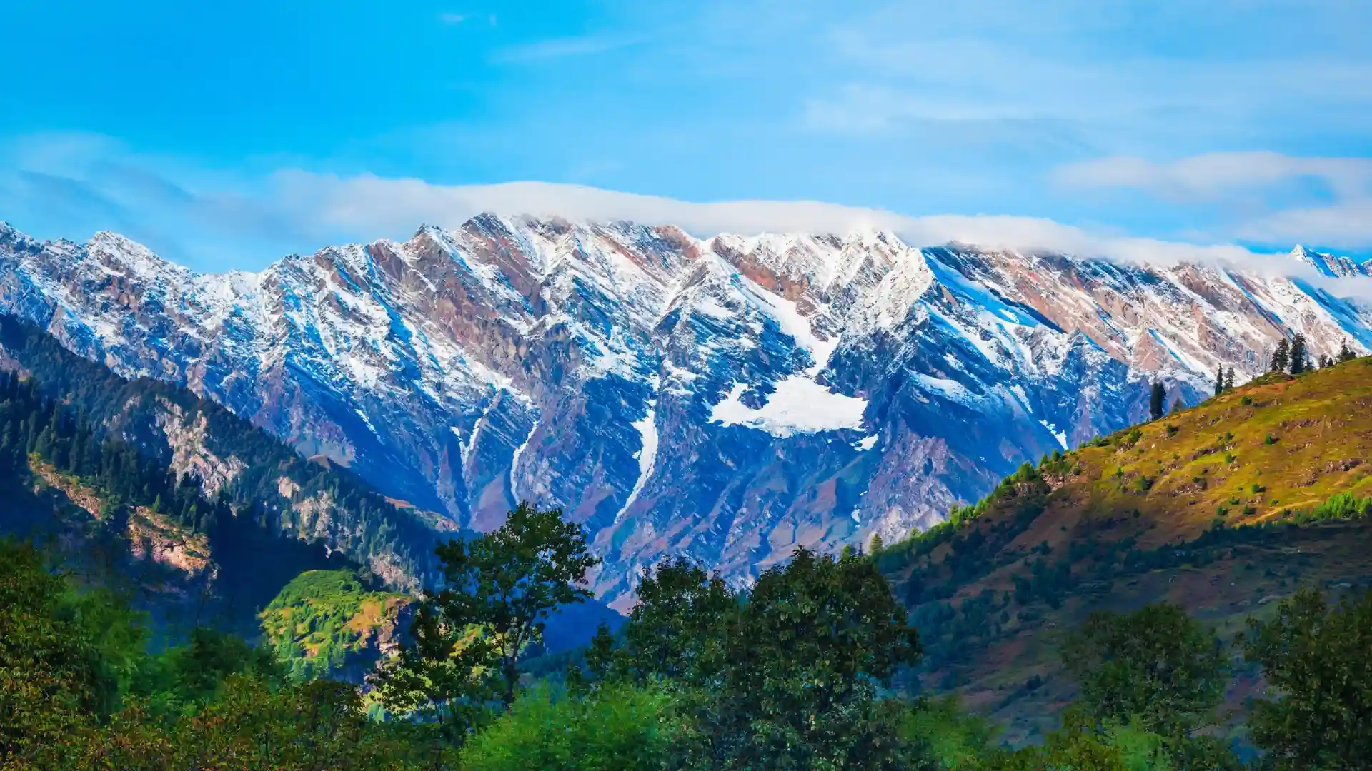 Cool India Tours